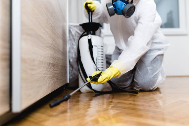 Best Pest Prevention Services  in Terra Alta, WV