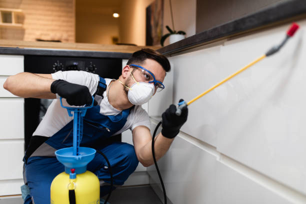 Best Termite Control Services  in Terra Alta, WV