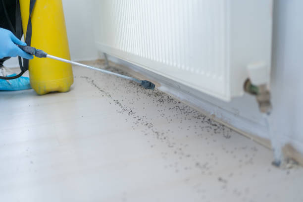Best Residential Pest Control  in Terra Alta, WV
